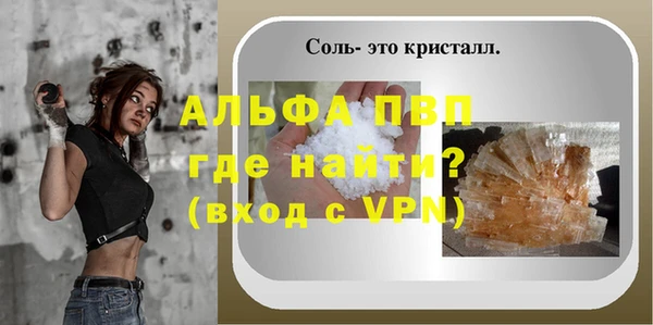 СК Абаза
