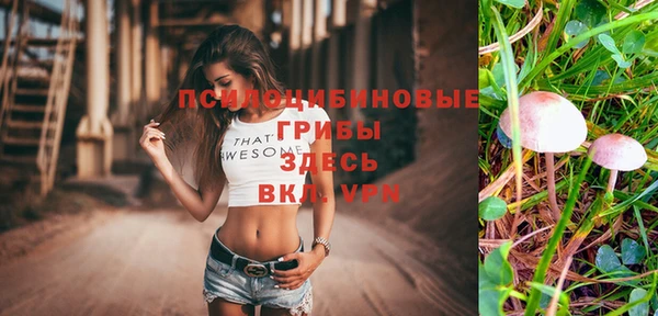 Альфа ПВП Абдулино
