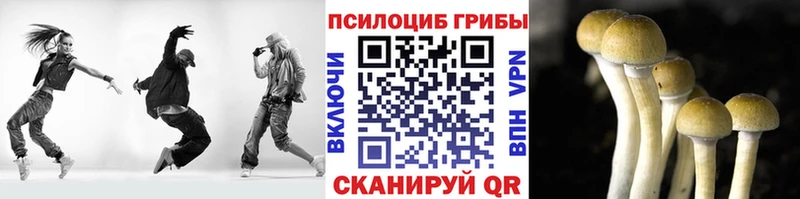 Галлюциногенные грибы ЛСД  дарк нет наркотические препараты  Электросталь 