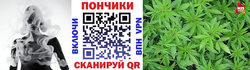 Бошки марихуана марихуана  хочу наркоту  Электросталь 